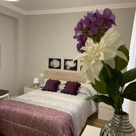 Apartment Venus Salar